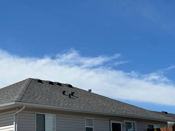 Best Gutter Installation and Repair  in Sappington, MO